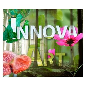Innnova Art Environmental